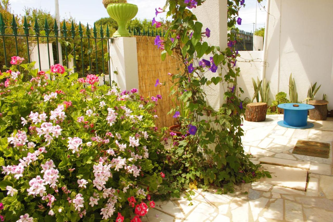 Natural Mystic Hostel Costa da Caparica Exterior photo